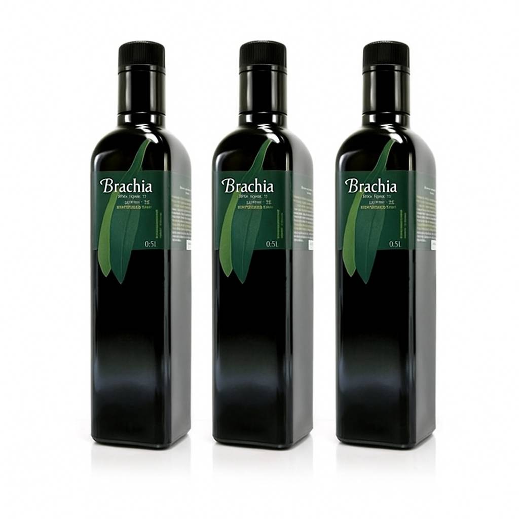 Brachia 500ml Vorteilspack - 3 Flaschen